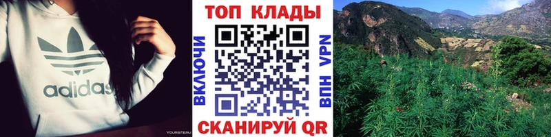 Названия наркотиков Курлово гидра как зайти  Меф  Cocaine  Альфа ПВП  ГАШИШ  Марихуана 