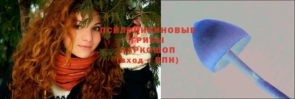 амф Аркадак