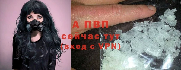 амф Аркадак