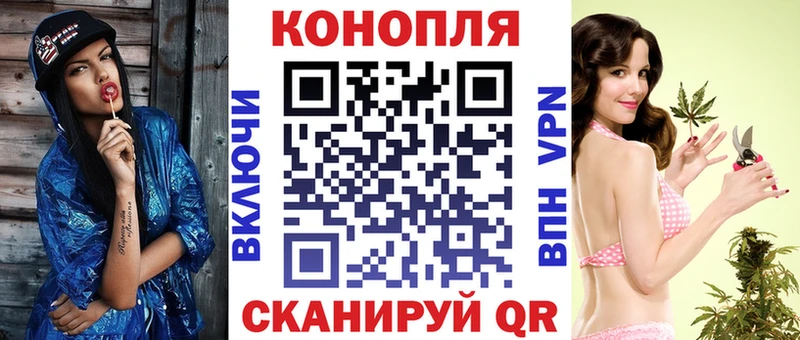 Каннабис ГИДРОПОН где можно купить Курлово